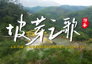 　　原标题：云南建设我国民族团结进步示范区这十年系列微视频之坡芽之歌