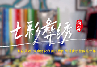 　　原标题：云南建设我国民族团结进步示范区这十年系列微视频之七彩彝绣