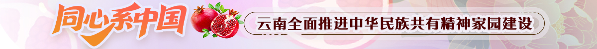 【专题】同心“系”中国